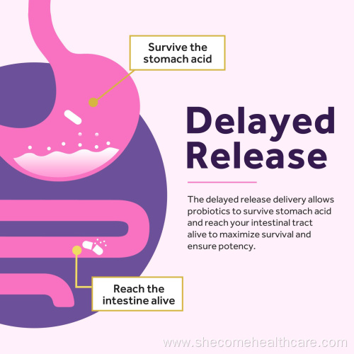 Probiotics Capsules for Women Digestive Health Supplement